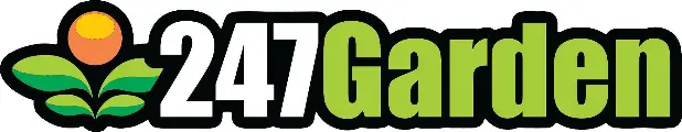 My Website